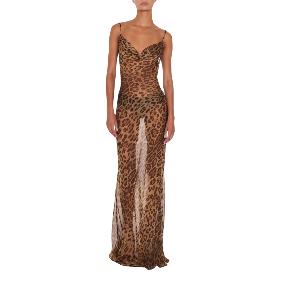 Lionel Dress - transparent