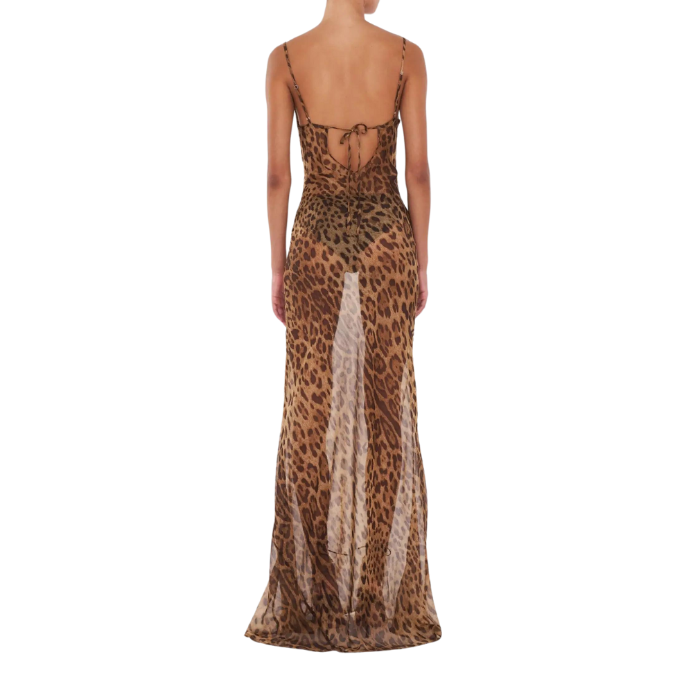 Lionel Dress - transparent